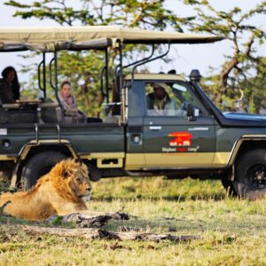 Elephant Pepper Mara Camp daily game drives