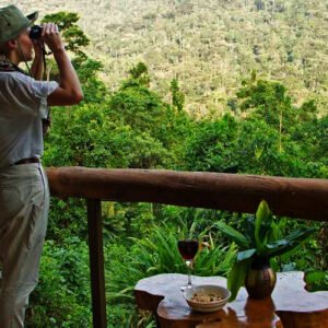 sanctuary-gorilla-forest-camp-view