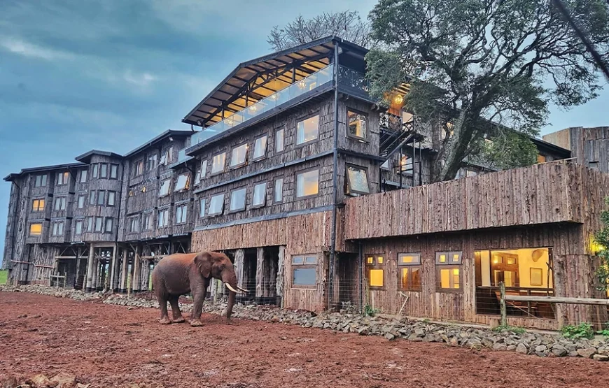 Aberdares – Tree Hotel Experience -1 Night