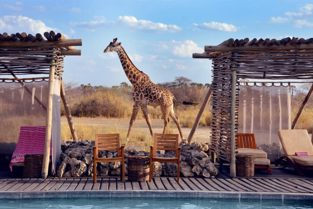 2 Days Tarangire National Park