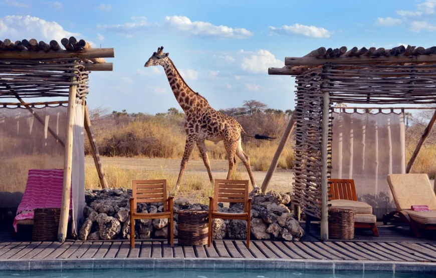 2 Days Tarangire National Park