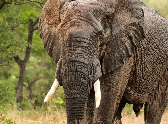 2 Days Tarangire National Park