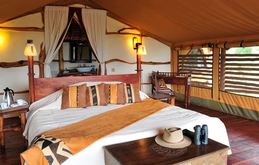 3 Days Fly-In Safari to Amboseli National Park