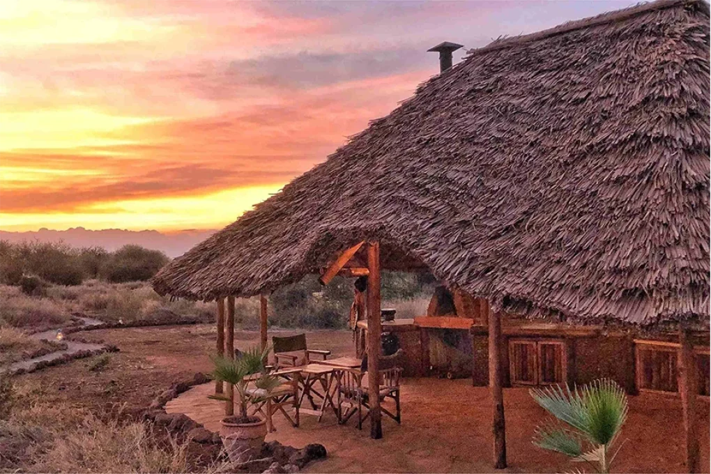 3 Days Fly-In Safari to Amboseli National Park