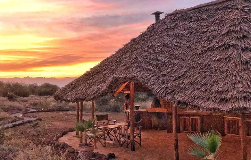 3 Days Fly-In Safari to Amboseli National Park