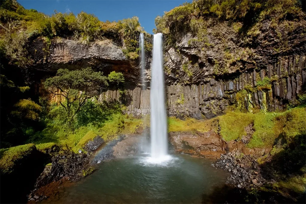 Aberdare Experience – Tree Hotel & Highland Escape 2 Nights