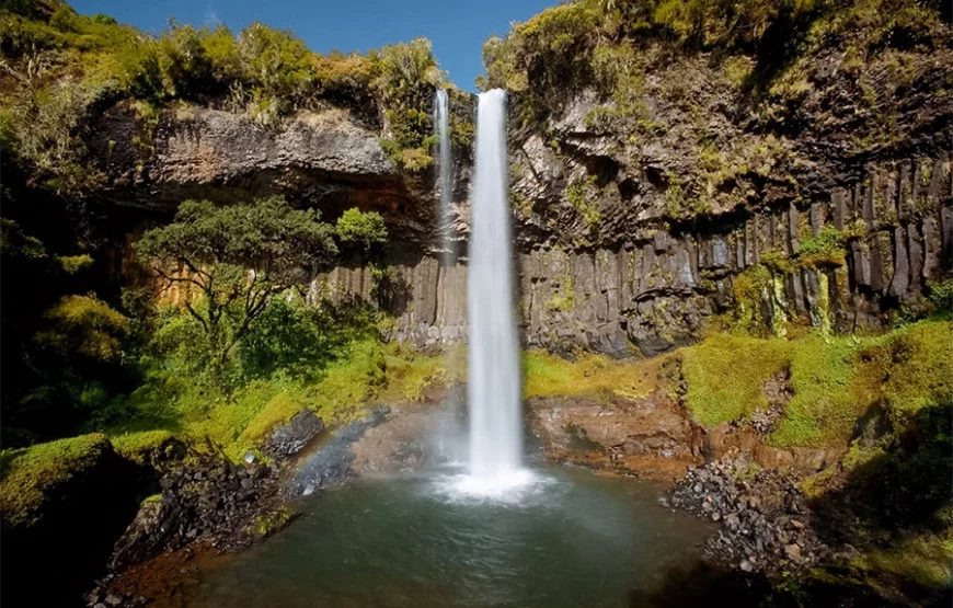 Aberdare Experience – Tree Hotel & Highland Escape 2 Nights