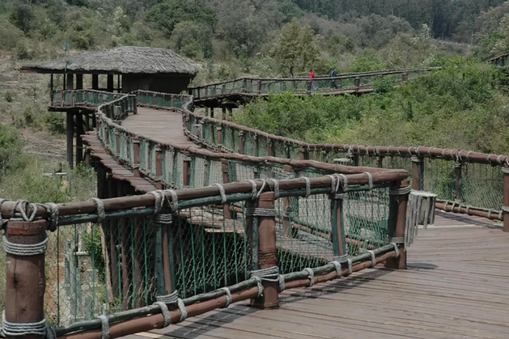 Aberdare Experience – Tree Hotel & Highland Escape 2 Nights