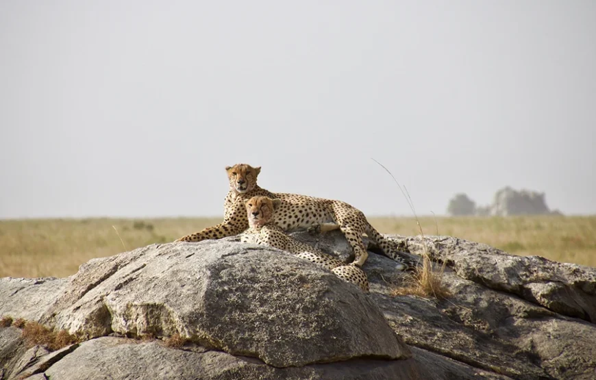 3 Days Romantic Safari to Tsavo West