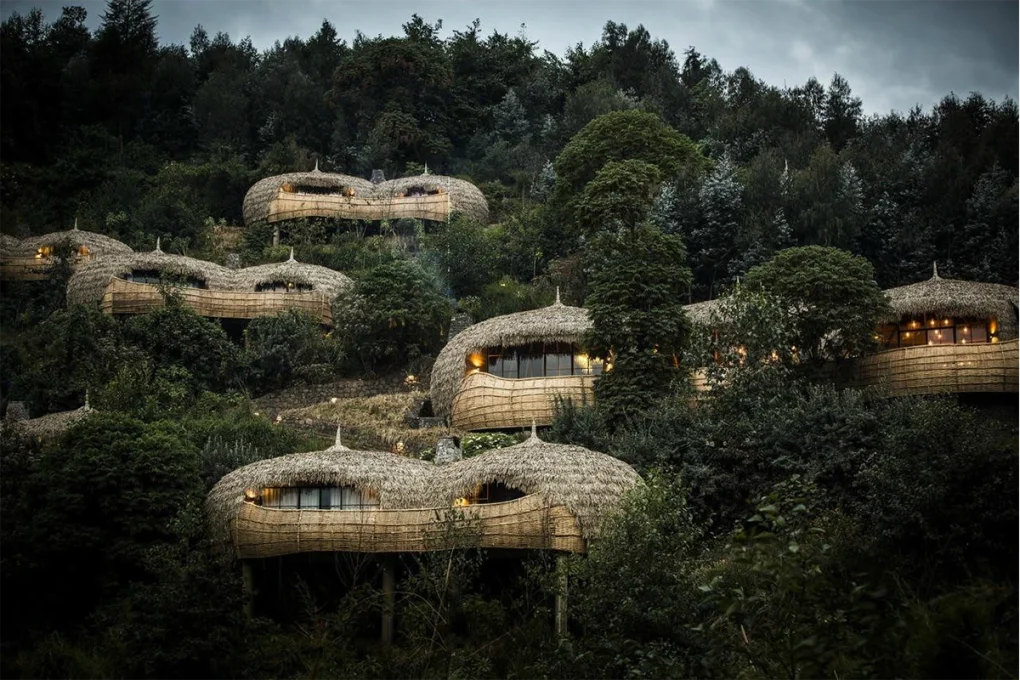 3 Days Rwanda Gorilla Trek Safari