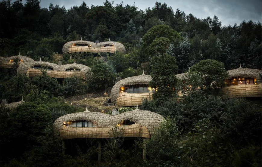 3 Days Rwanda Gorilla Trek Safari