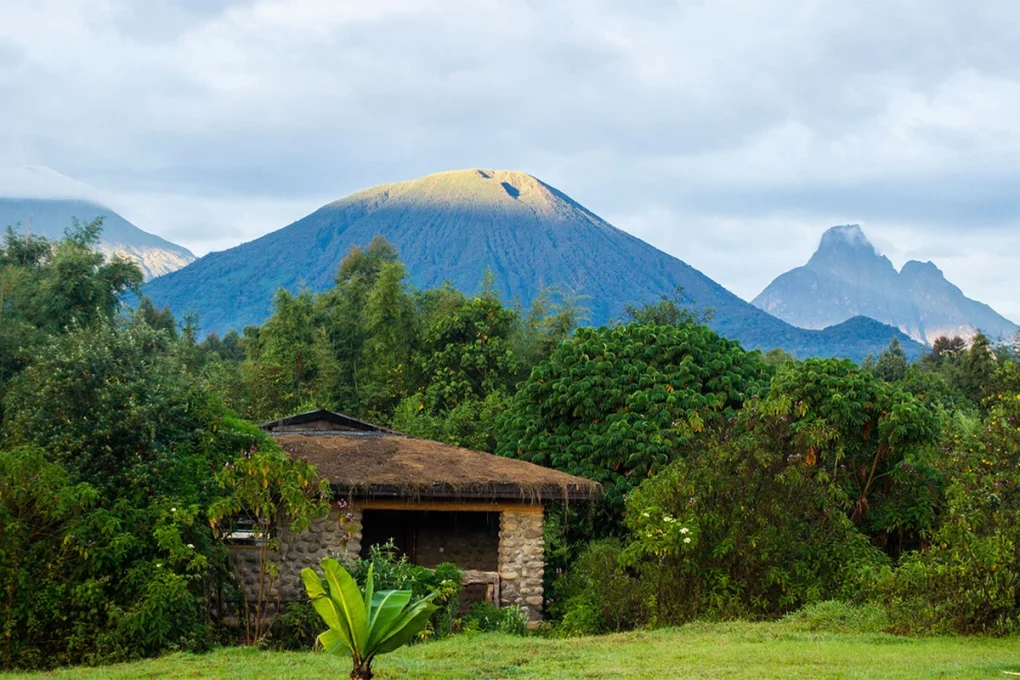 3 Days Rwanda Gorilla Trek Safari