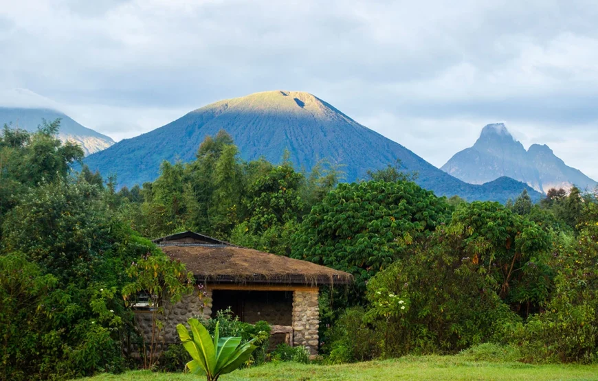 3 Days Rwanda Gorilla Trek Safari