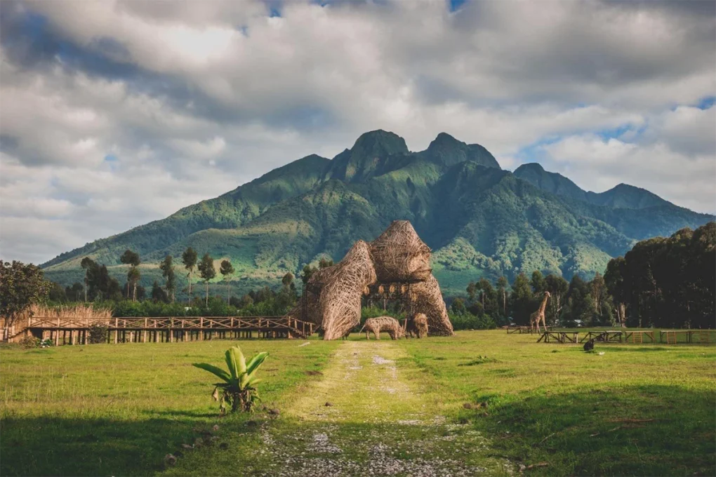3 Days Rwanda Gorilla Trek Safari