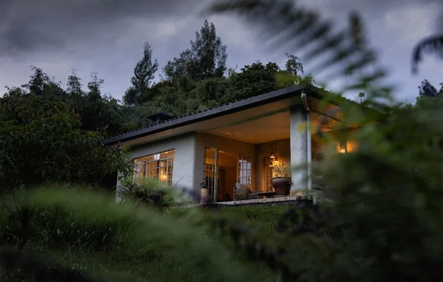 3 Days Rwanda Gorilla Trek Safari