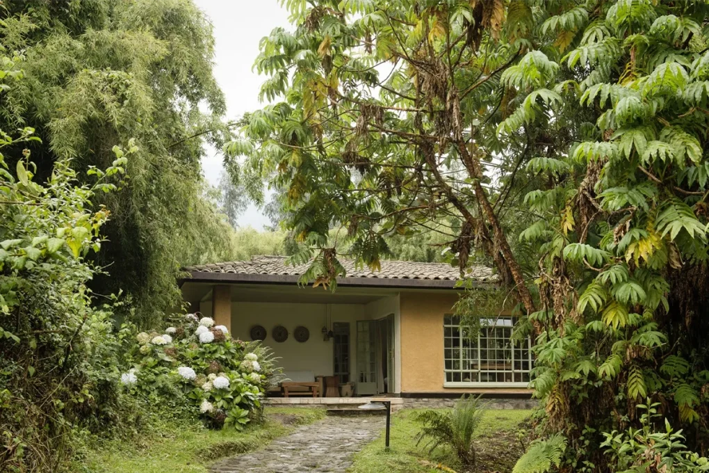 3 Days Rwanda Gorilla Trek Safari