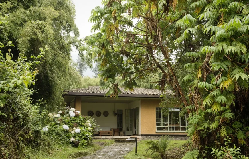 3 Days Rwanda Gorilla Trek Safari