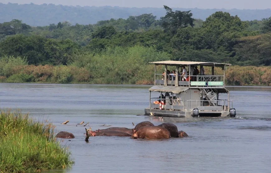 3 Days Murchison Falls National Park Uganda Safari