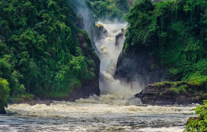 3 Days Murchison Falls National Park Uganda Safari