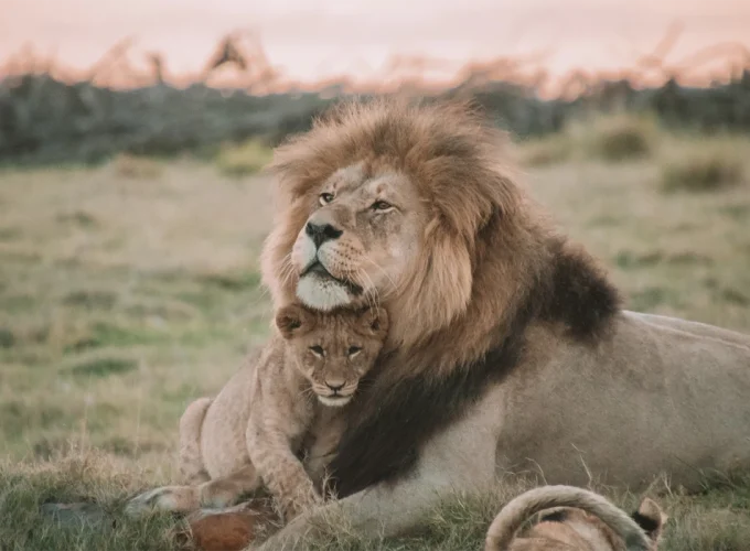 3 Days Queen Elizabeth National Park Uganda Safari