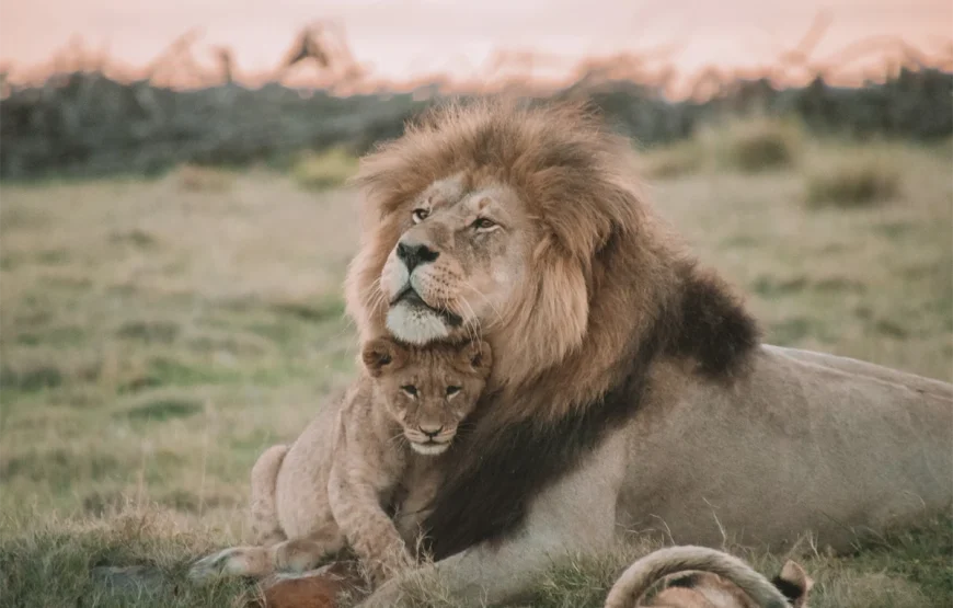 3 Days Queen Elizabeth National Park Uganda Safari