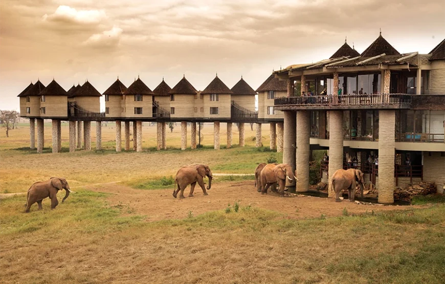 4 Days Tsavo West, Amboseli & Taita Hills Safari