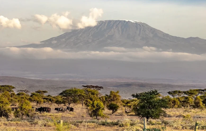 4 Days Tsavo West, Amboseli & Taita Hills Safari