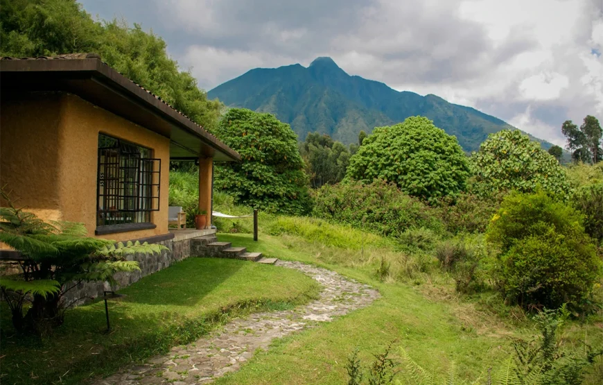 4 Days Rwanda Gorilla Trek Safari