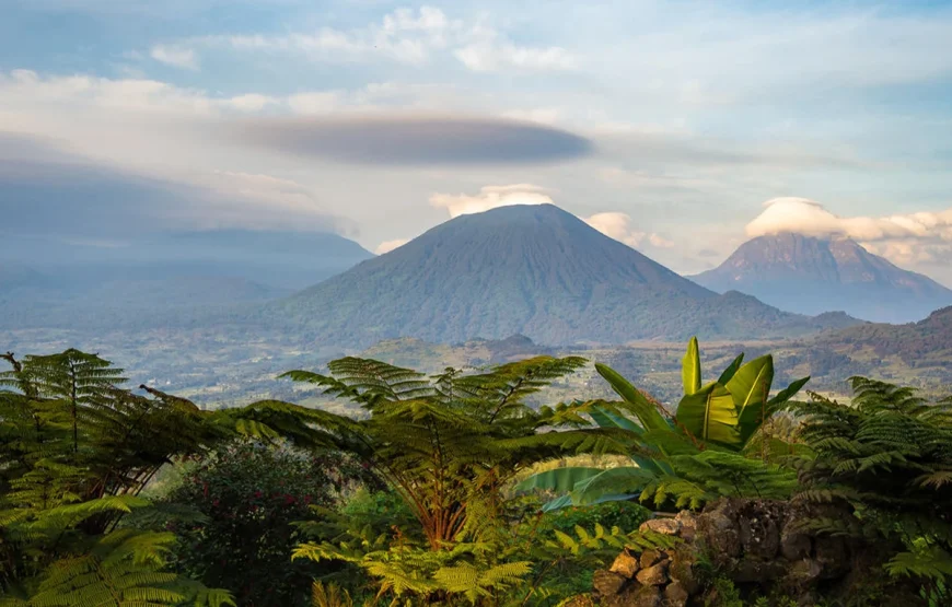 4 Days Rwanda Gorilla Trek Safari