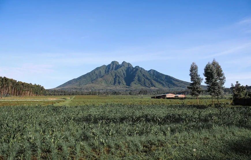 4 Days Rwanda Gorilla Trek Safari
