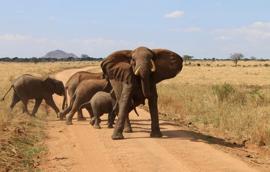 4 Days Lake Manyara & Ngorongoro Crater