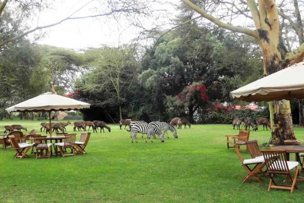 4 Days Kenya Safari – From the Great Rift to the Mara
