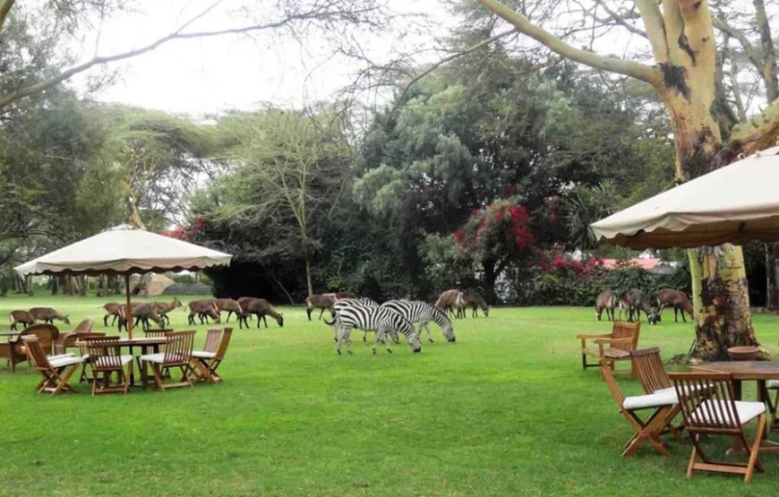 4 Days Kenya Safari – From the Great Rift to the Mara
