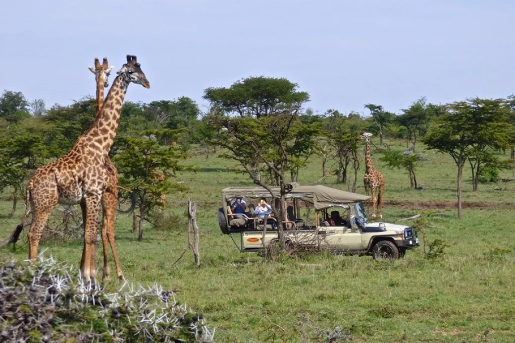 4 Days Kenya Safari – From the Great Rift to the Mara