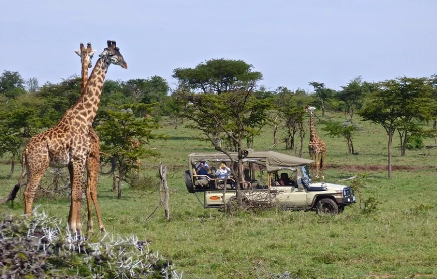 4 Days Kenya Safari – From the Great Rift to the Mara