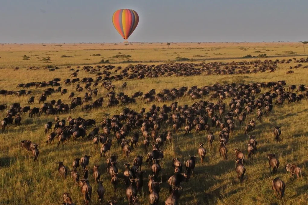 4 Days Kenya Safari – From the Great Rift to the Mara