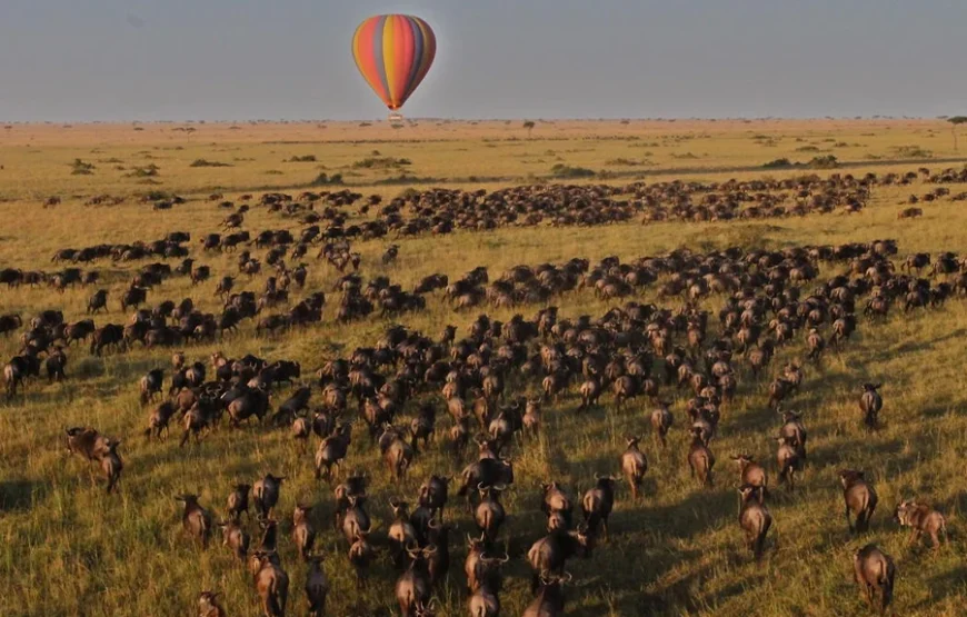 4 Days Kenya Safari – From the Great Rift to the Mara