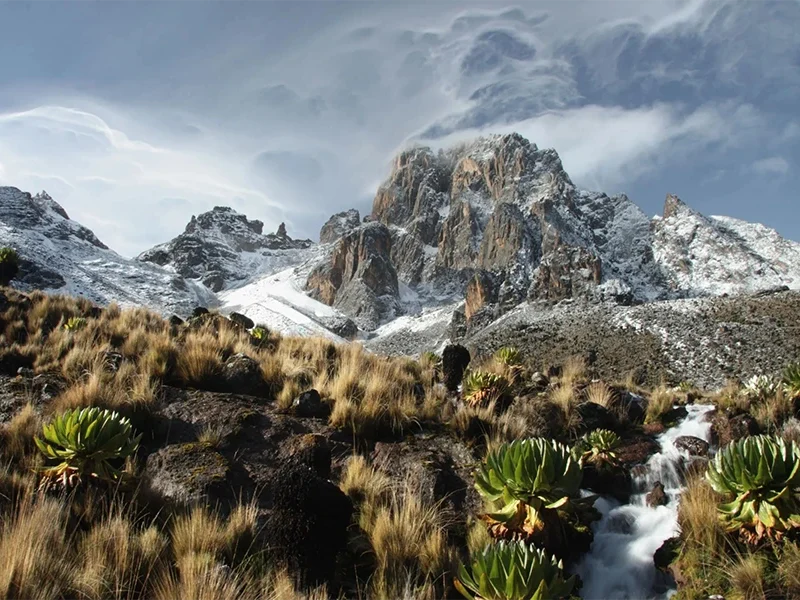 4 Days Mount Kenya trek – Up Naru Moru; Down Naru Moru