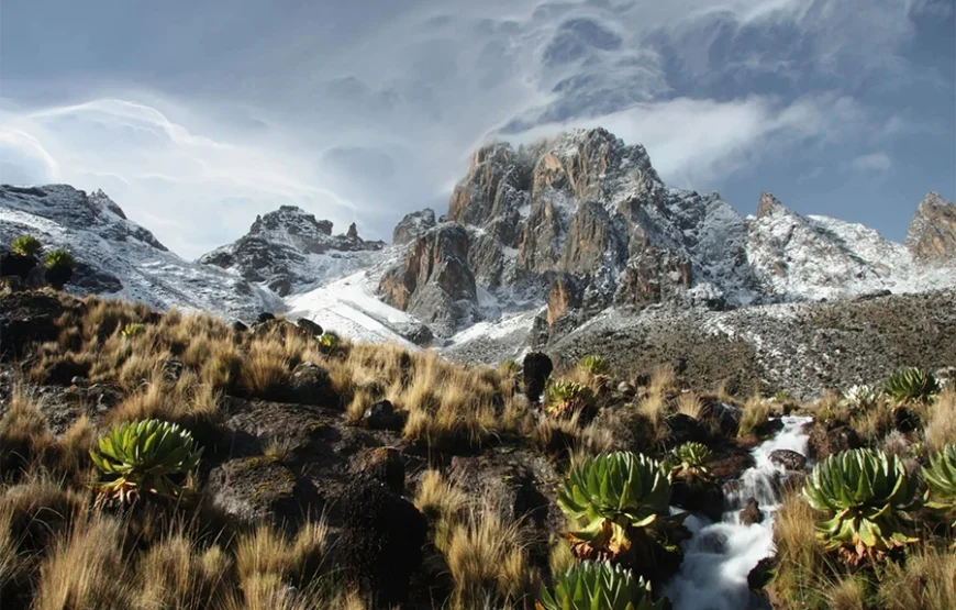 4 Days Mount Kenya trek – Up Naru Moru; Down Naru Moru