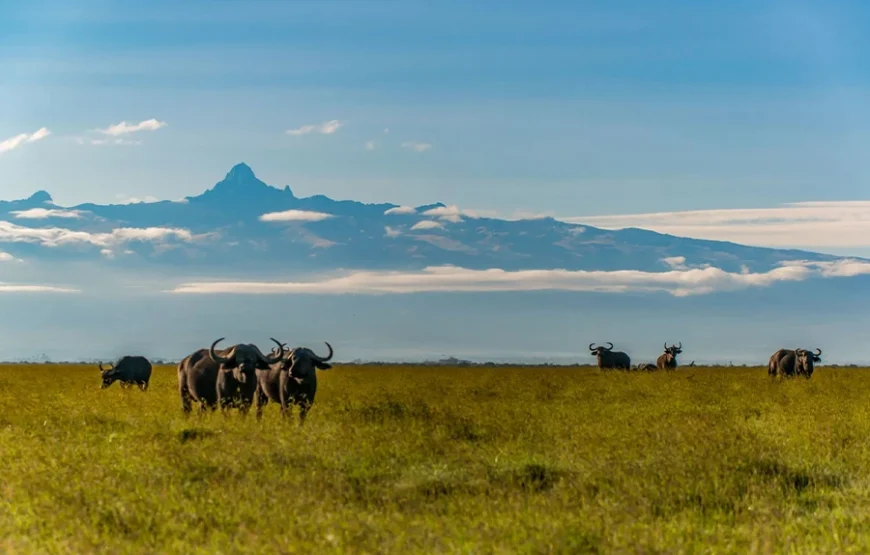 4 Days Mount Kenya trek – Up Naru Moru; Down Naru Moru