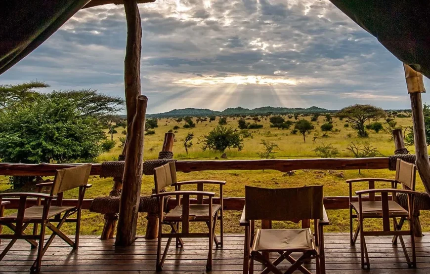 4 Days Ngorongoro, Serengeti & Lake Manyara Safari