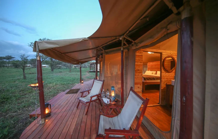 4 Days Ngorongoro, Serengeti & Lake Manyara Safari
