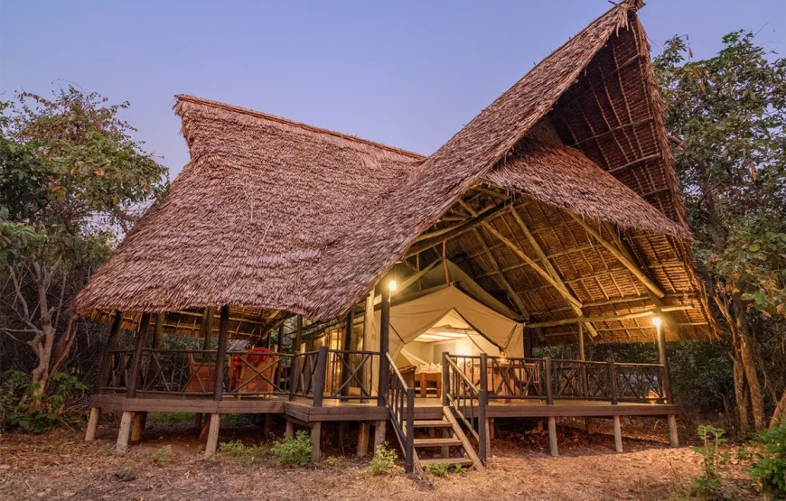 4 Days Selous Tanzania Flying Safari