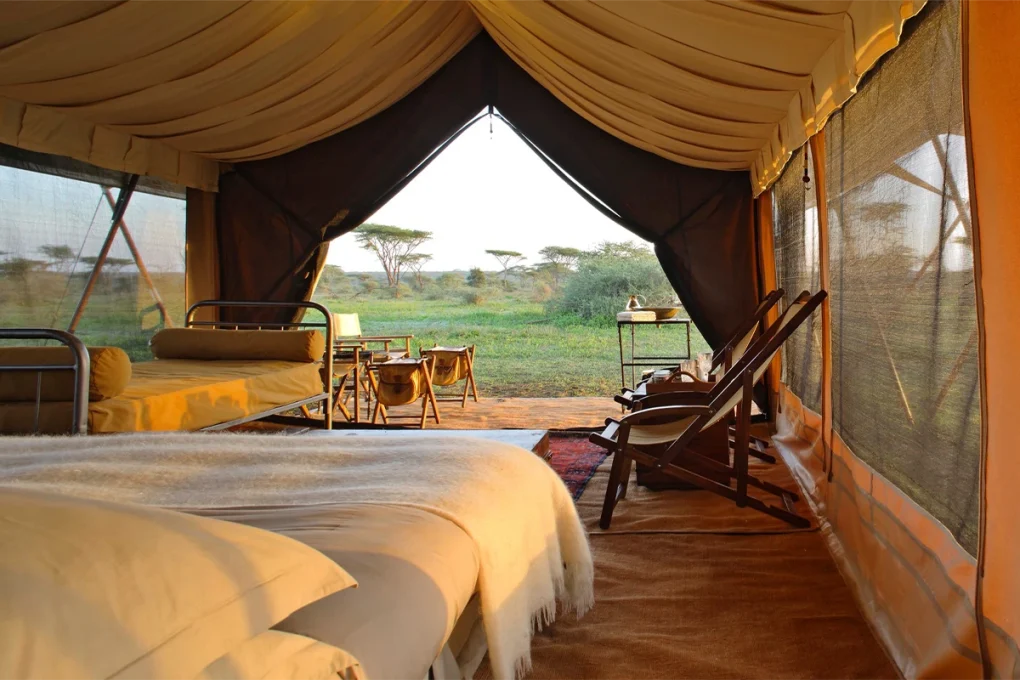 5 Days Manyara, Serengeti, Ngorongoro and Tarangire Safari