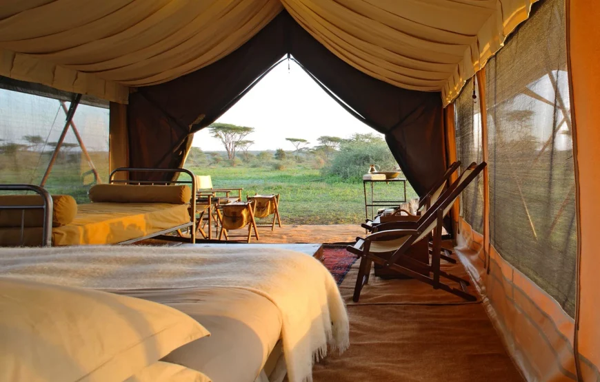 5 Days Manyara, Serengeti, Ngorongoro and Tarangire Safari