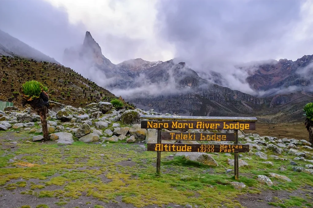 5 Days Mount Kenya Trek – Up Naru Moru; Down Sirimon