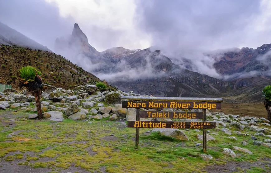 5 Days Mount Kenya Trek – Up Naru Moru; Down Sirimon