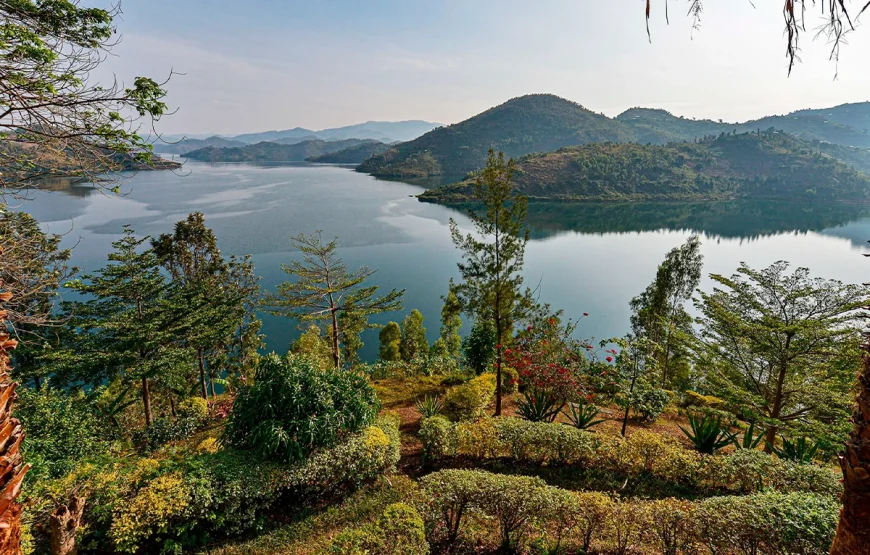 5 Days Rwanda Safari: Gorilla Trekking & Lake Kivu Escape