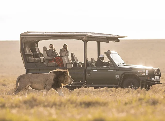 5 Days of Iconic Kenya – From Forest Canopies to Savannah Kings