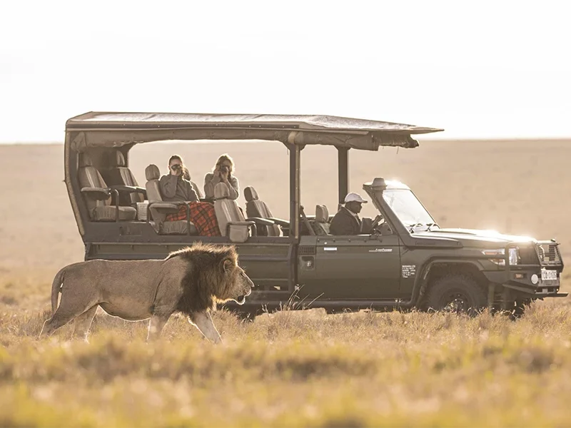 5 Days of Iconic Kenya – From Forest Canopies to Savannah Kings